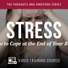 Stress Video Training Course